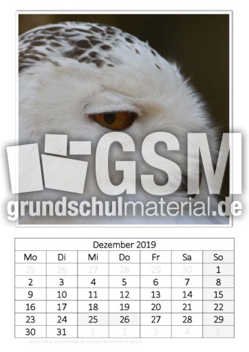 Dezember_Schnee-Eule.pdf
